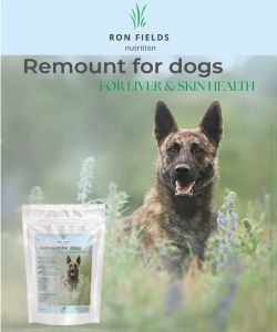 Remount - Soutien hépatique pour chiens, 150&nbsp;g